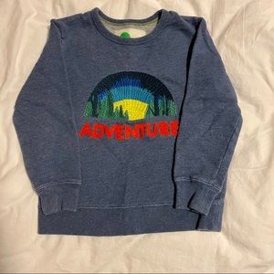 Mini Boden Boys Cotton Sweatshirt